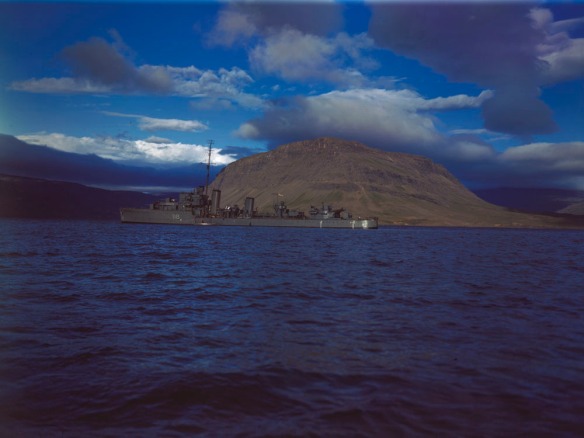 Colour photograph of a large ship in front of an island.