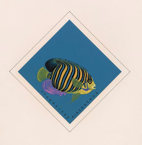 A colour design showing a brightly coloured fish with yellow, blue and black stripes on a blue background.