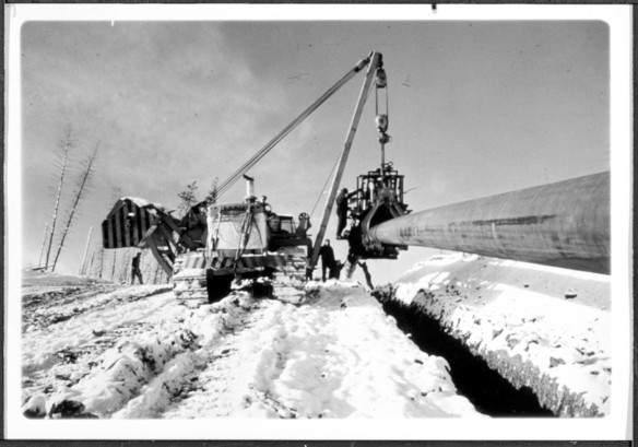 Caterpillar machinery with lift and claw holding pipeline to drop into parallel ditch in ground. Ground edged by snow. Several workers standing on snow and one standing on claw mechanism. Two tall trees on the left side of the picture with short branches with no leaves.